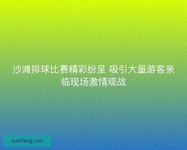 沙滩排球比赛精彩纷呈 吸引大量游客亲临现场激情观战
