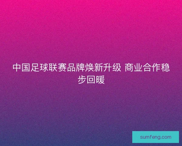 中国足球联赛品牌焕新升级 商业合作稳步回暖 中国足球联赛品牌焕新升级 商业合作稳步回暖